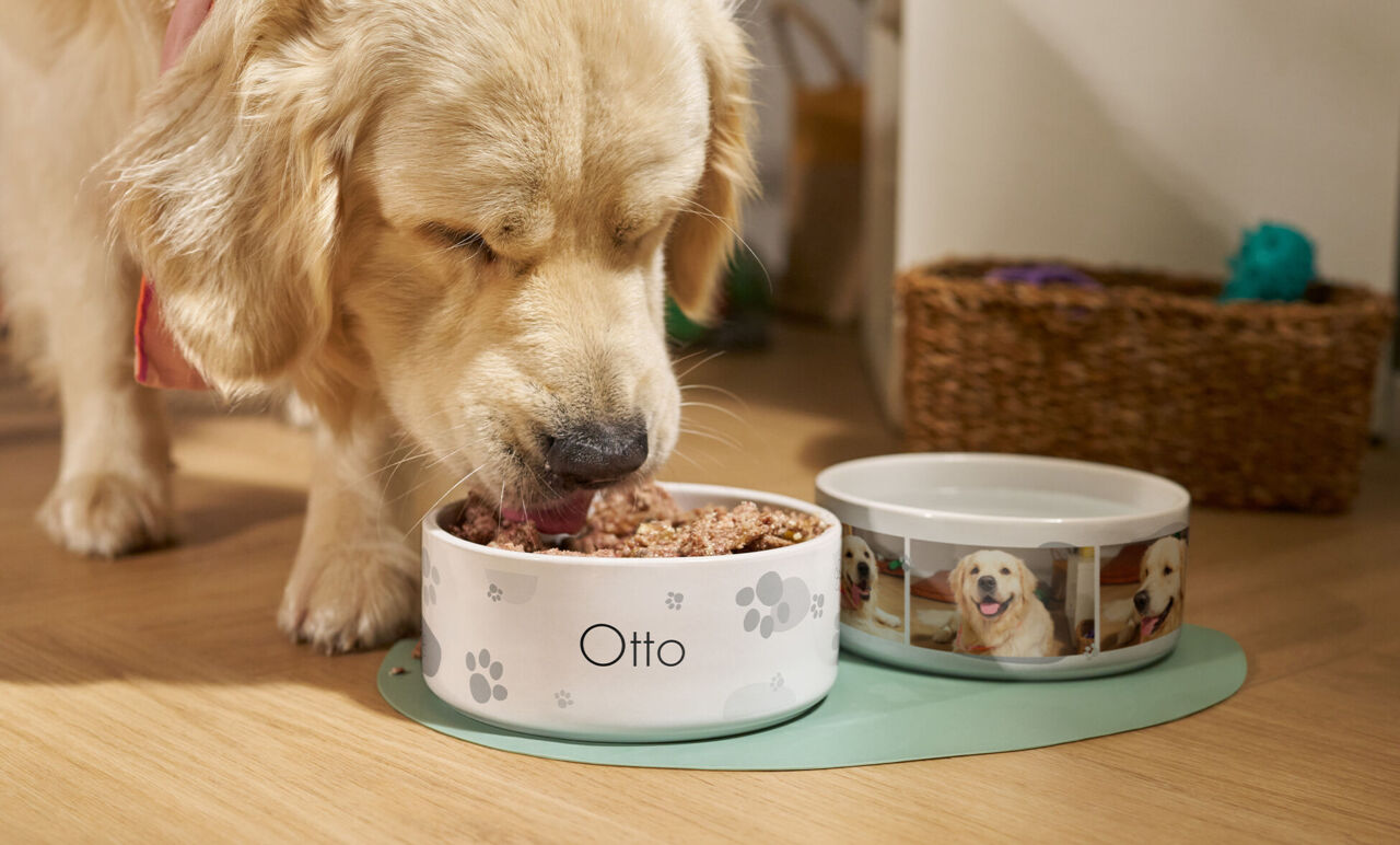 Perro comiendo de un cuenco personalizado con su nombre